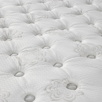 Plush Image