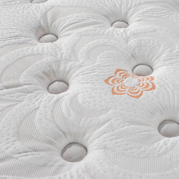 Plush Image